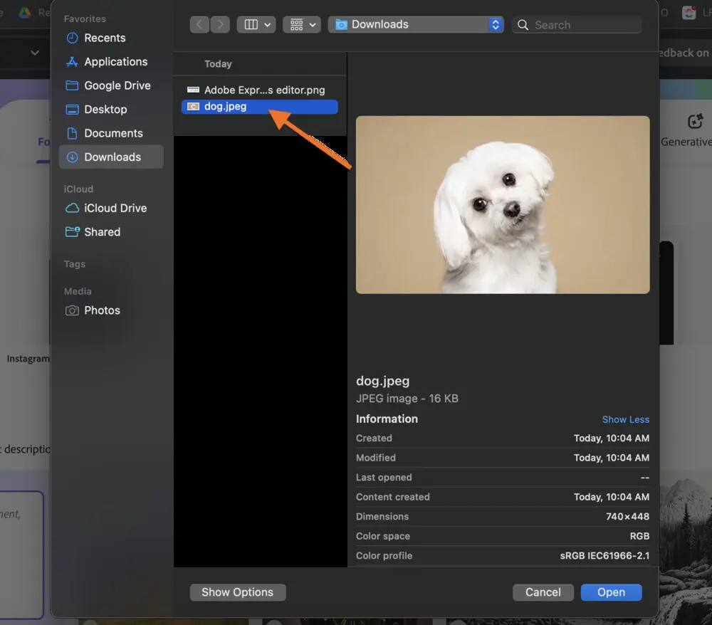 Photoshop Express Background Remover